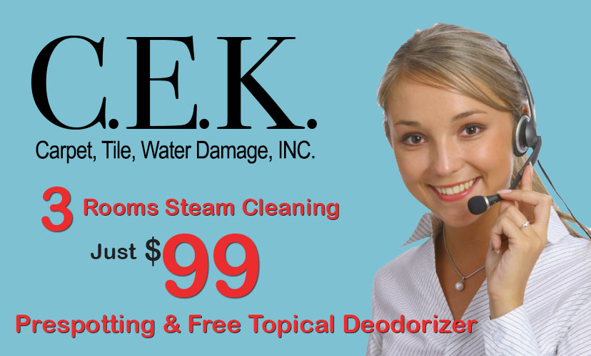 CEK Carpet Tile Water Damage mob header